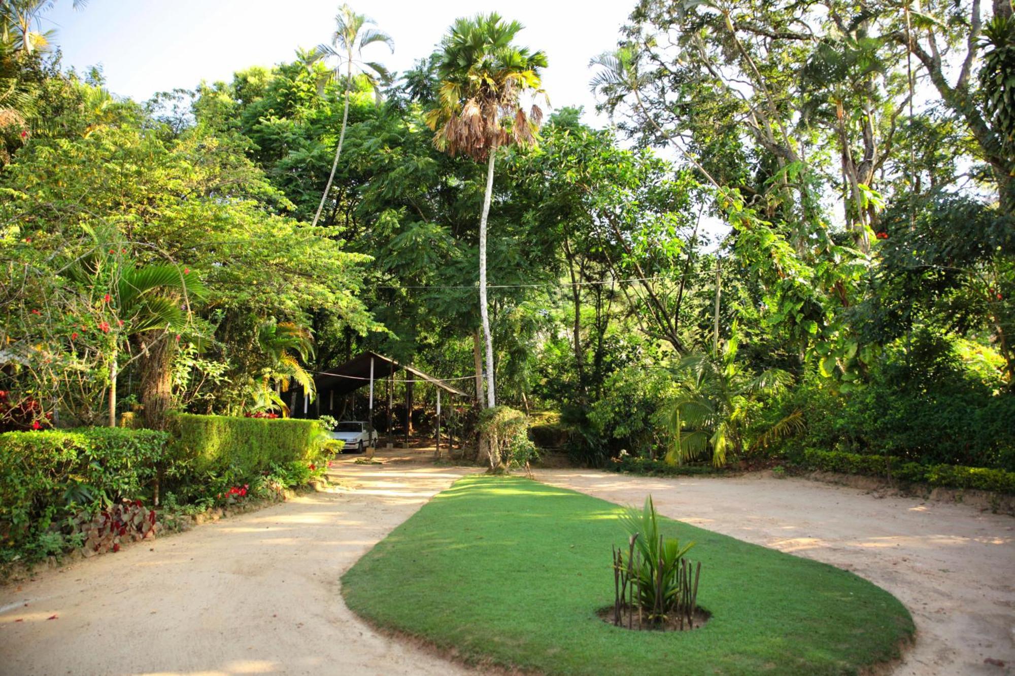 Sunnyside Holiday Bungalow Ела Екстериор снимка