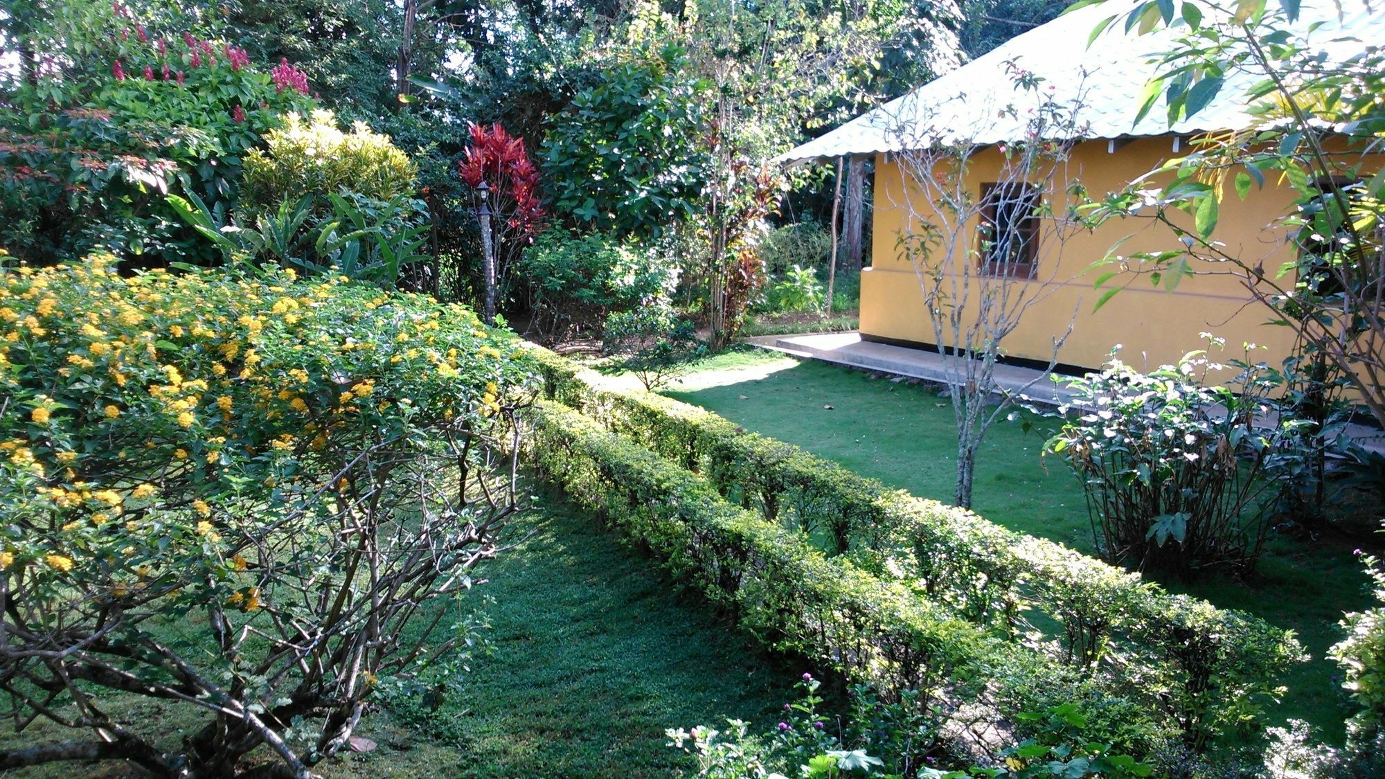 Sunnyside Holiday Bungalow Ела Екстериор снимка