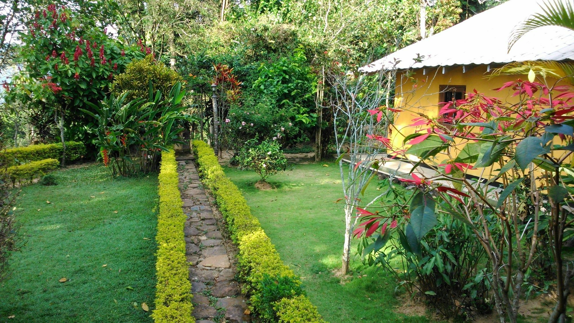 Sunnyside Holiday Bungalow Ела Екстериор снимка