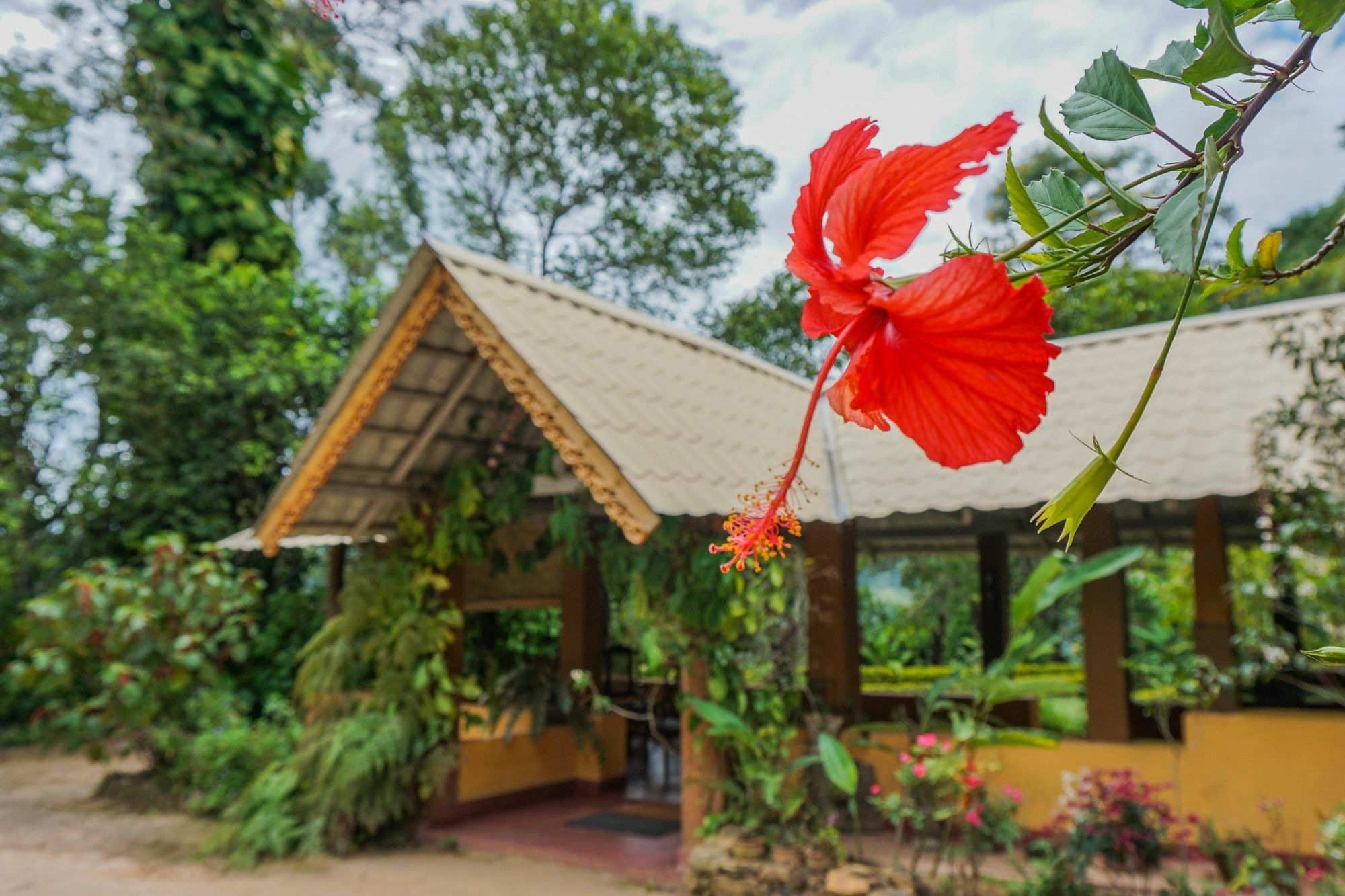 Sunnyside Holiday Bungalow Ела Екстериор снимка